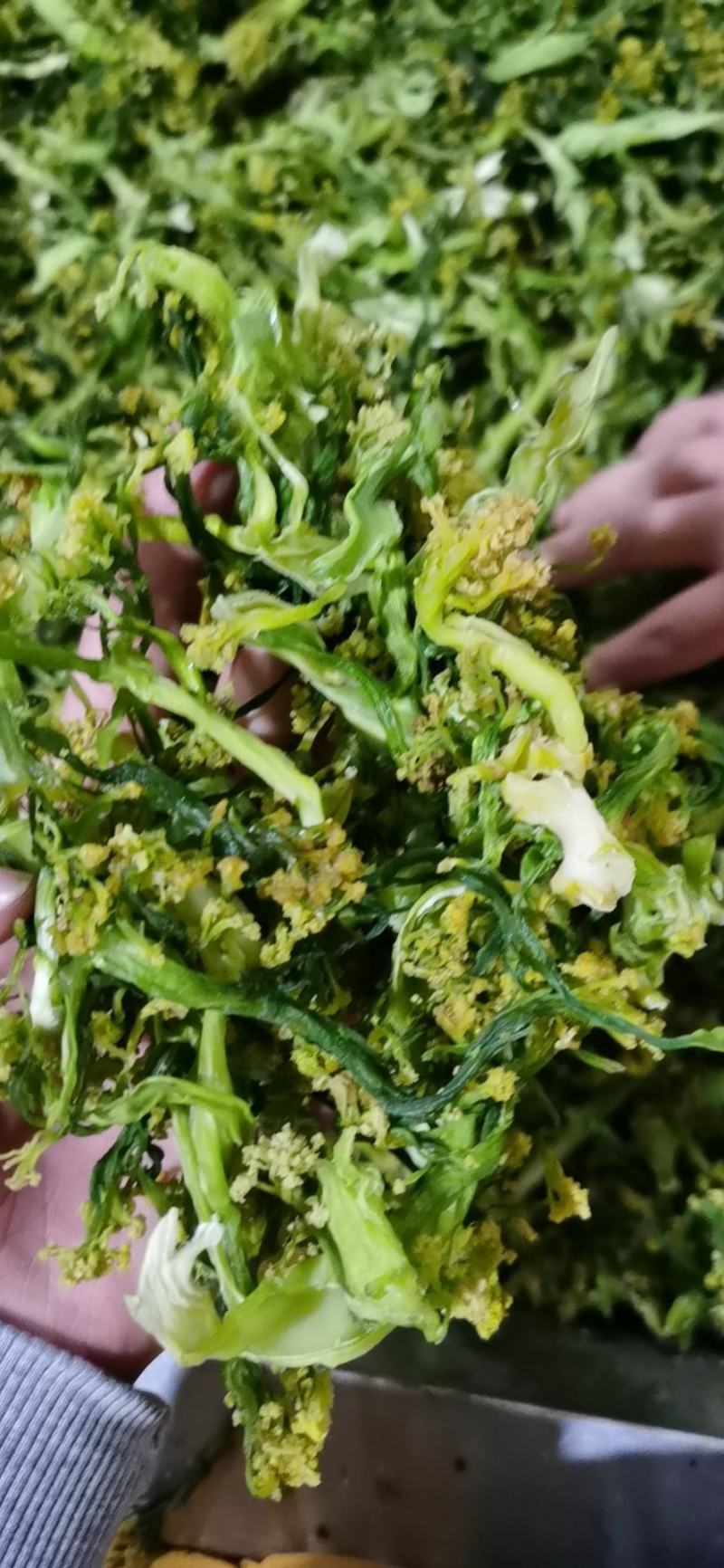 花菜干脱水蔬菜干货菜类大全农家自制椰菜花g
