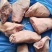 猪肘子，前肘子，猪后肘，猪肘子一箱20斤规格9-10都有