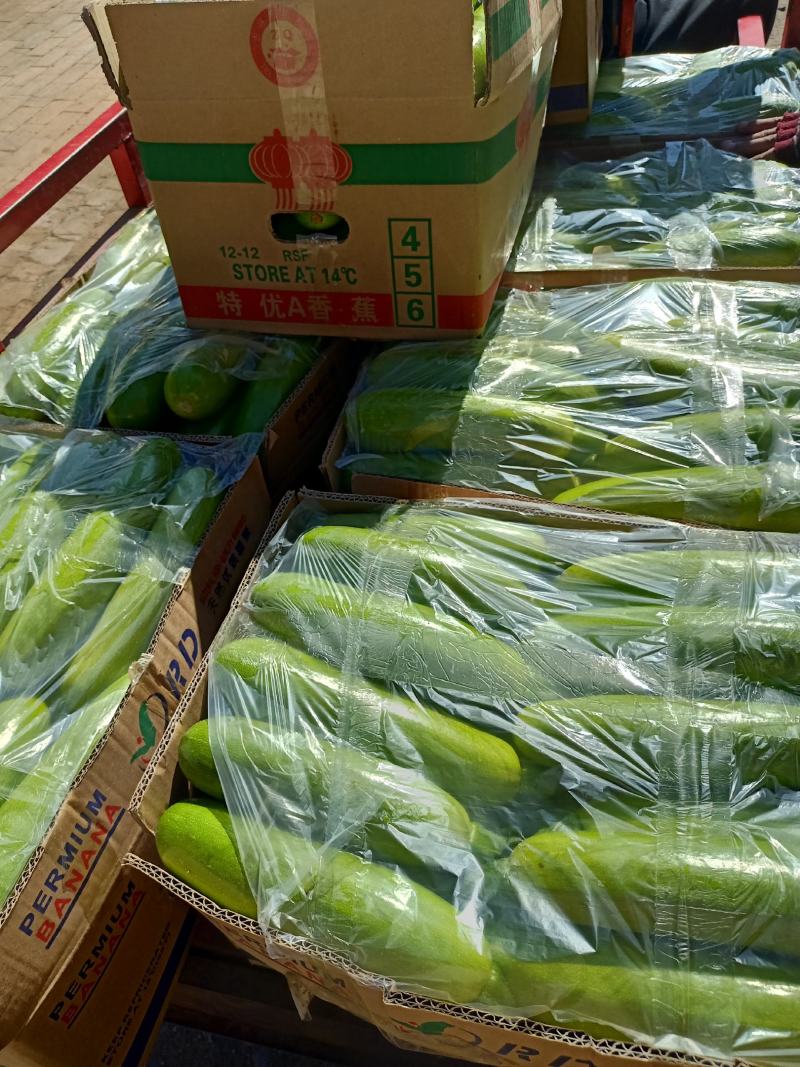 绿皮西葫芦，物美价廉