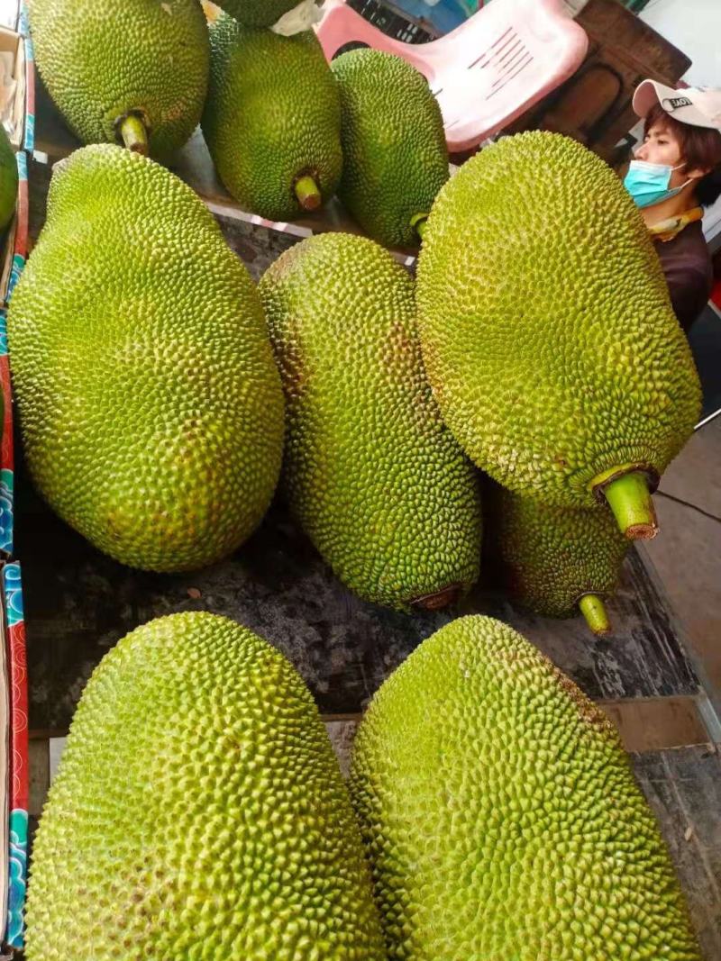 菠萝蜜菠萝蜜新鲜菠萝蜜