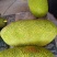 菠萝蜜菠萝蜜新鲜菠萝蜜