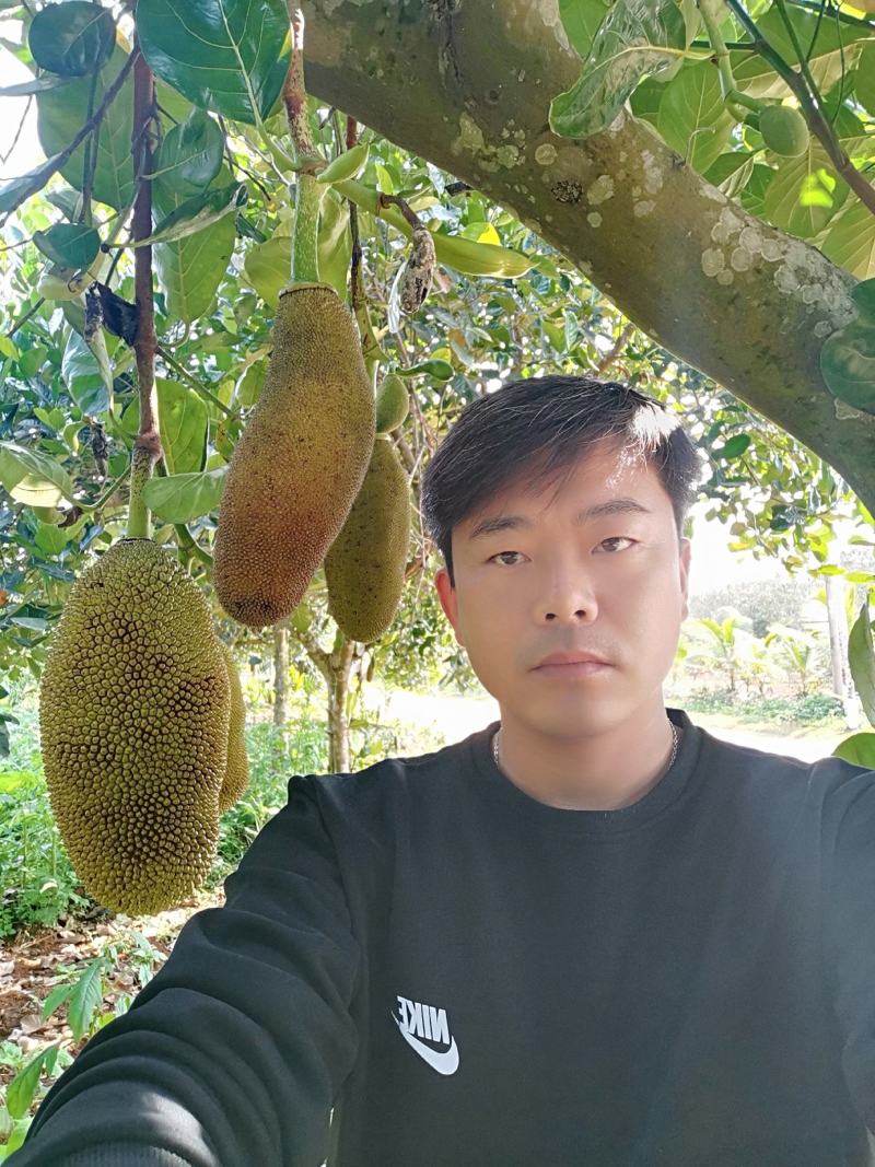 菠萝蜜菠萝蜜新鲜菠萝蜜