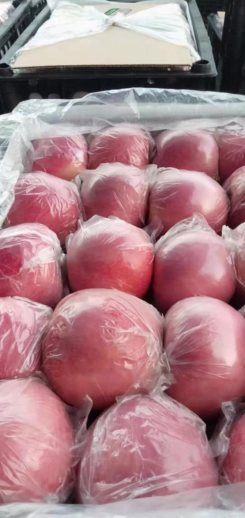 冰糖心红富士苹果大量现货8个品种22个系列总有一款适合你