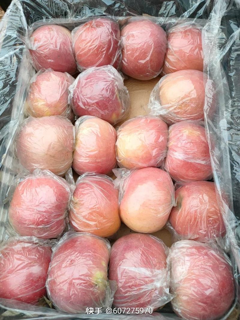 冰糖心红富士苹果大量现货8个品种22个系列总有一款适合你