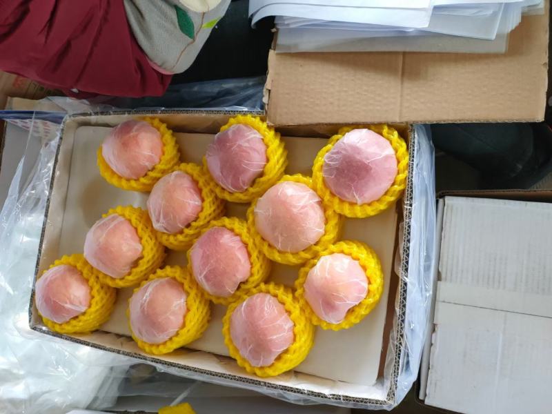 冰糖心红富士苹果大量现货8个品种22个系列总有一款适合你