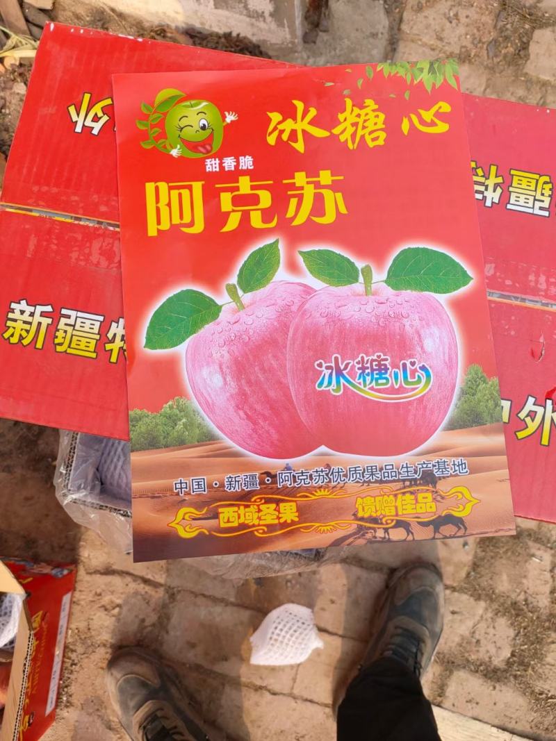 冰糖心红富士苹果大量现货8个品种22个系列总有一款适合你