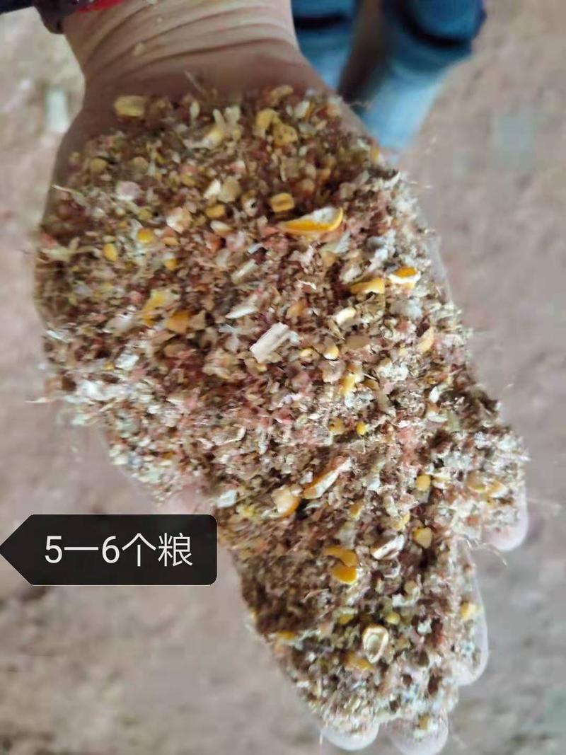 玉米漏，玉米加工过筛后的副产品，无土无沙