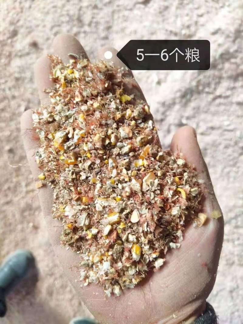 玉米漏，玉米加工过筛后的副产品，无土无沙