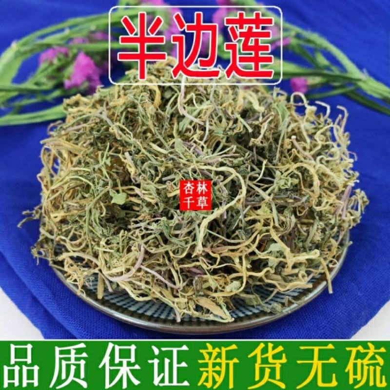 贵州野生半边莲半边连急解索半边菊新鲜干货50