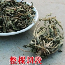 车前草中药材1000g野生车前草干段泡茶天然新货