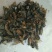 虻虫，正品大虻虫质量保证，经营各种中药材欢迎咨询合作！