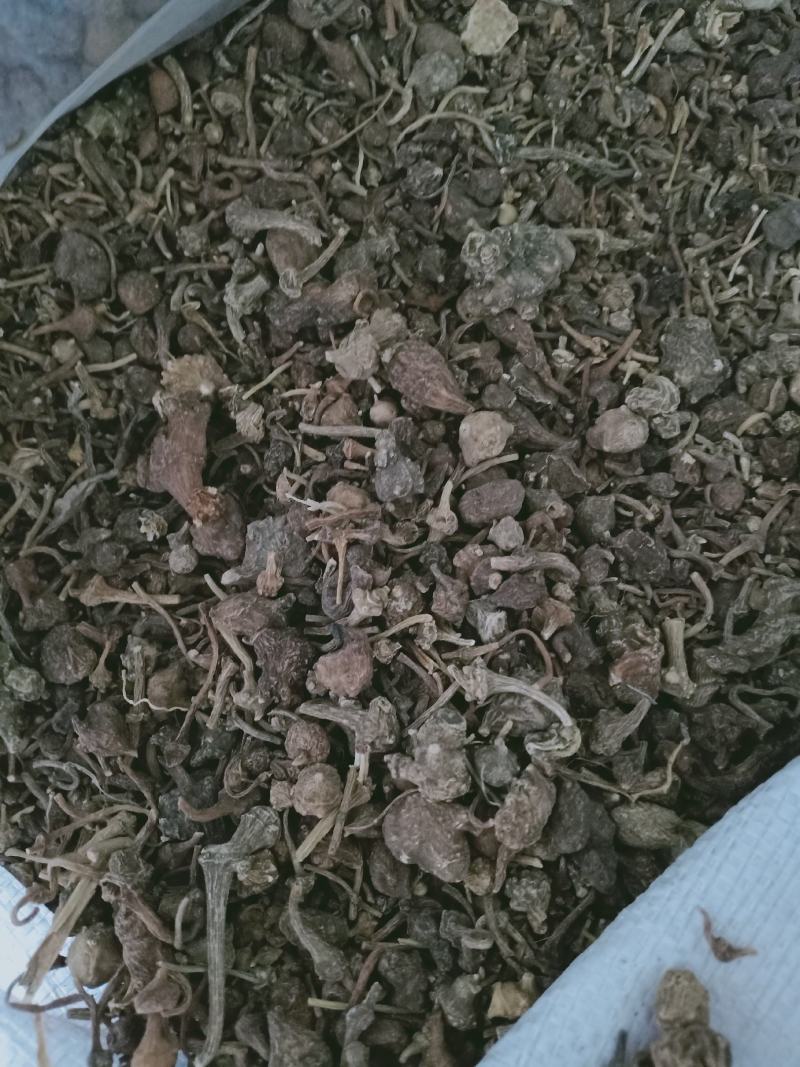 珠子参，珠儿参质量保证，经营各种中药材，欢迎咨询合作！