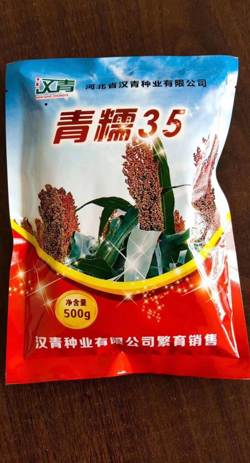 河北汉青种业有限公司—汉青一号生育期103-113天