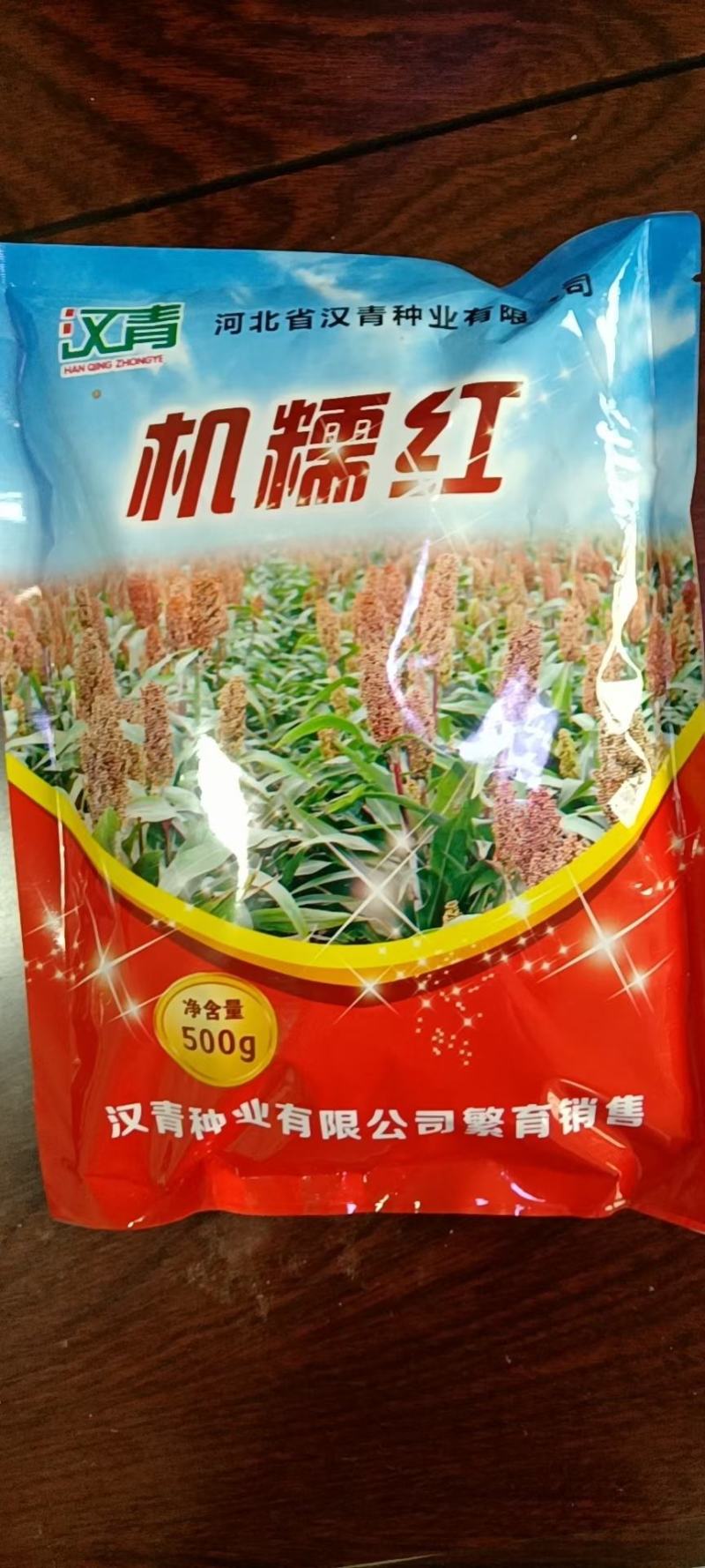 河北汉青种业有限公司—汉青一号生育期103-113天