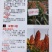 汉青种业有限公司——汉青糯7号，积温2800度