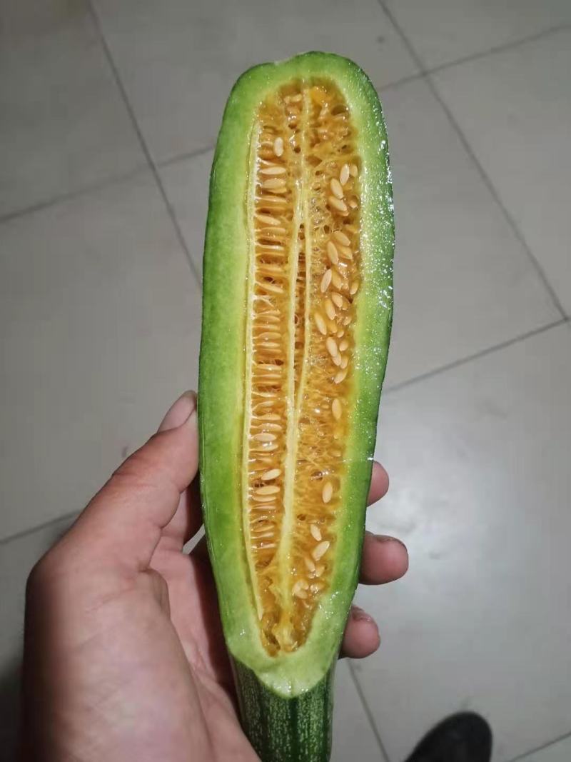 羊角蜜甜瓜，脆甜，种植面积大，可以一件代发