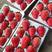 产地直发草莓鲜果品种有甜宝红颜妙香15~30克中大果