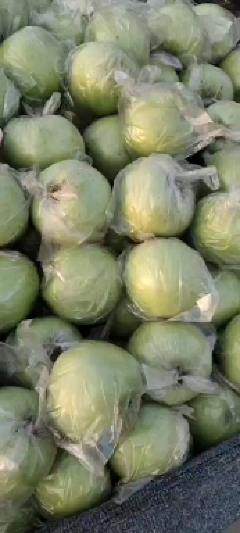 王林苹果大量有货深州货源基地大量大量供应