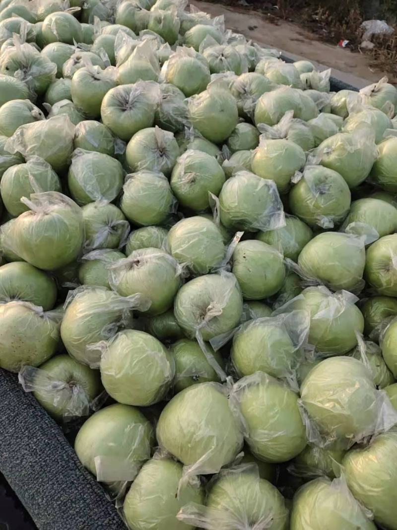 王林苹果大量有货深州货源基地大量大量供应