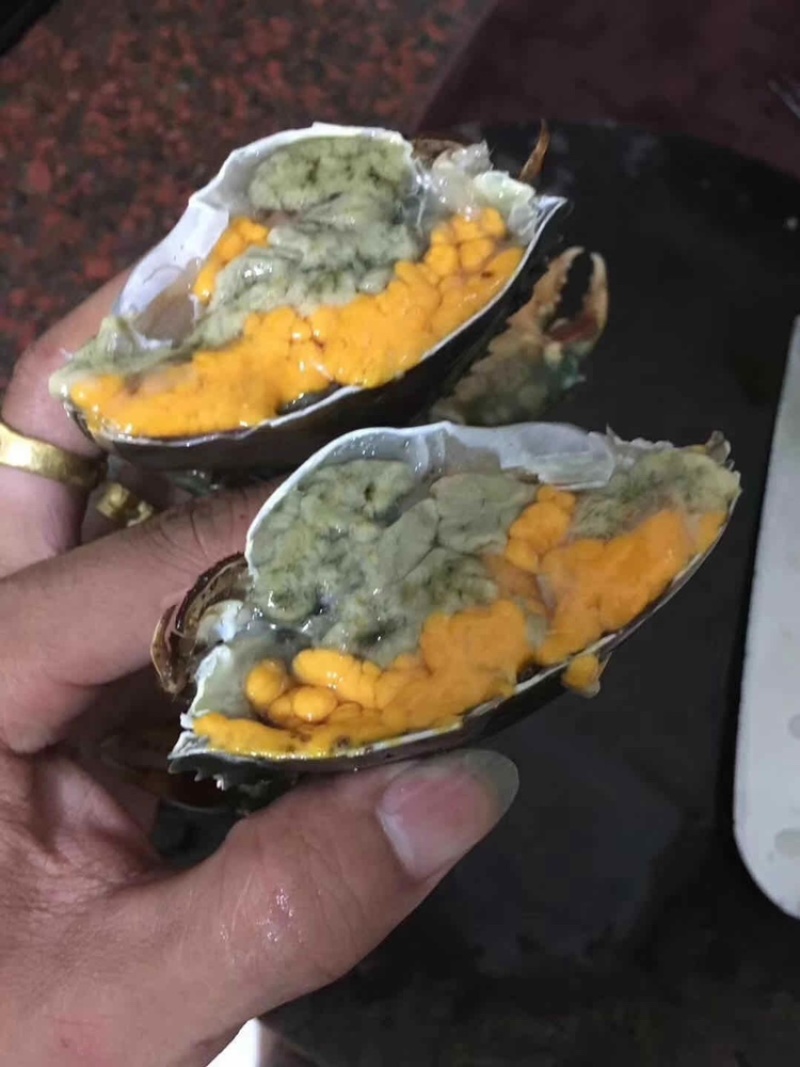 北海涠洲岛小船扑抓鲜活螃蟹，肉肥带黄饱满