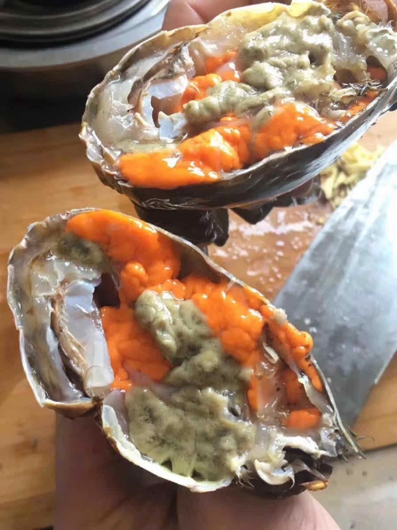 北海涠洲岛小船扑抓鲜活螃蟹，肉肥带黄饱满