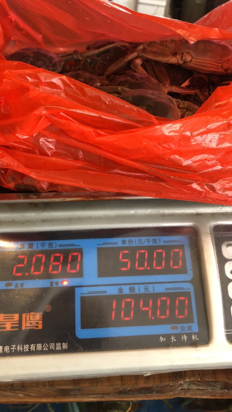 北海涠洲岛小船扑抓鲜活螃蟹，肉肥带黄饱满