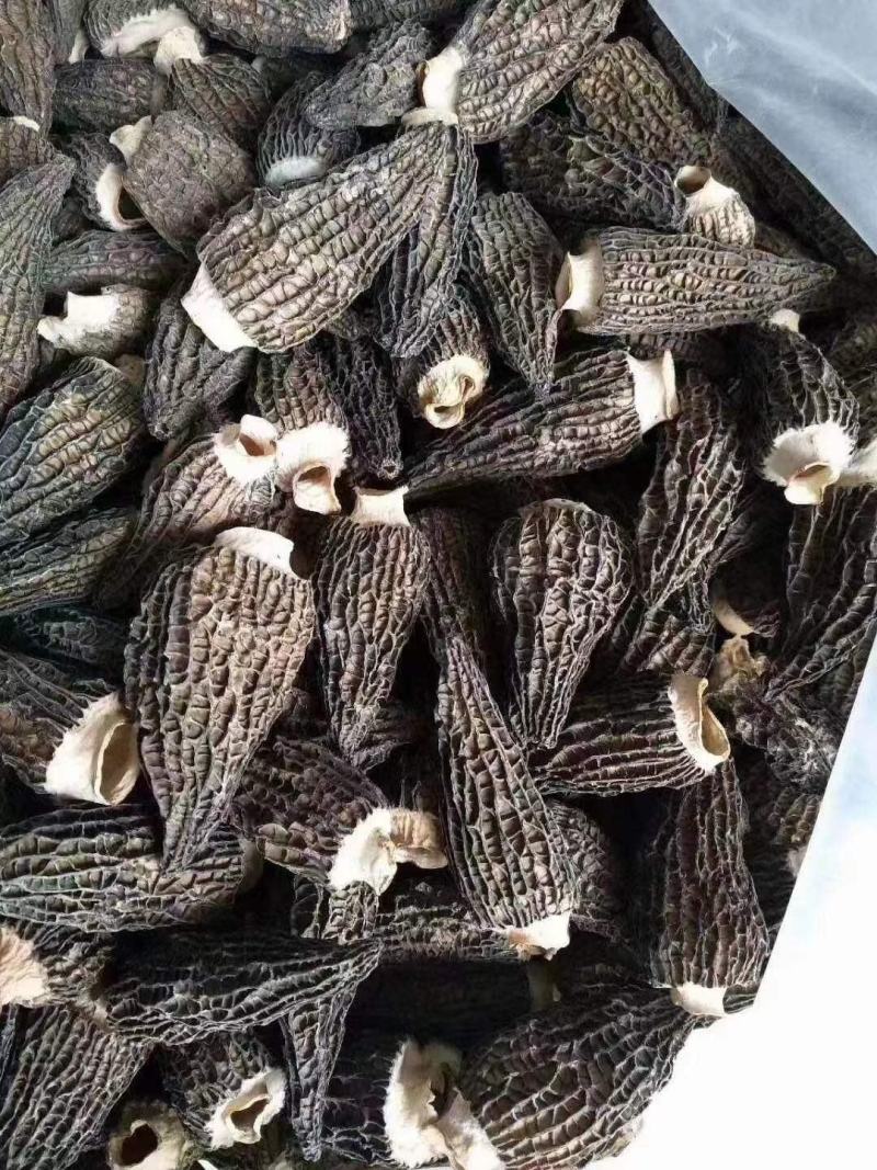 羊肚菌四川产地直发干品包邮发货量大从优