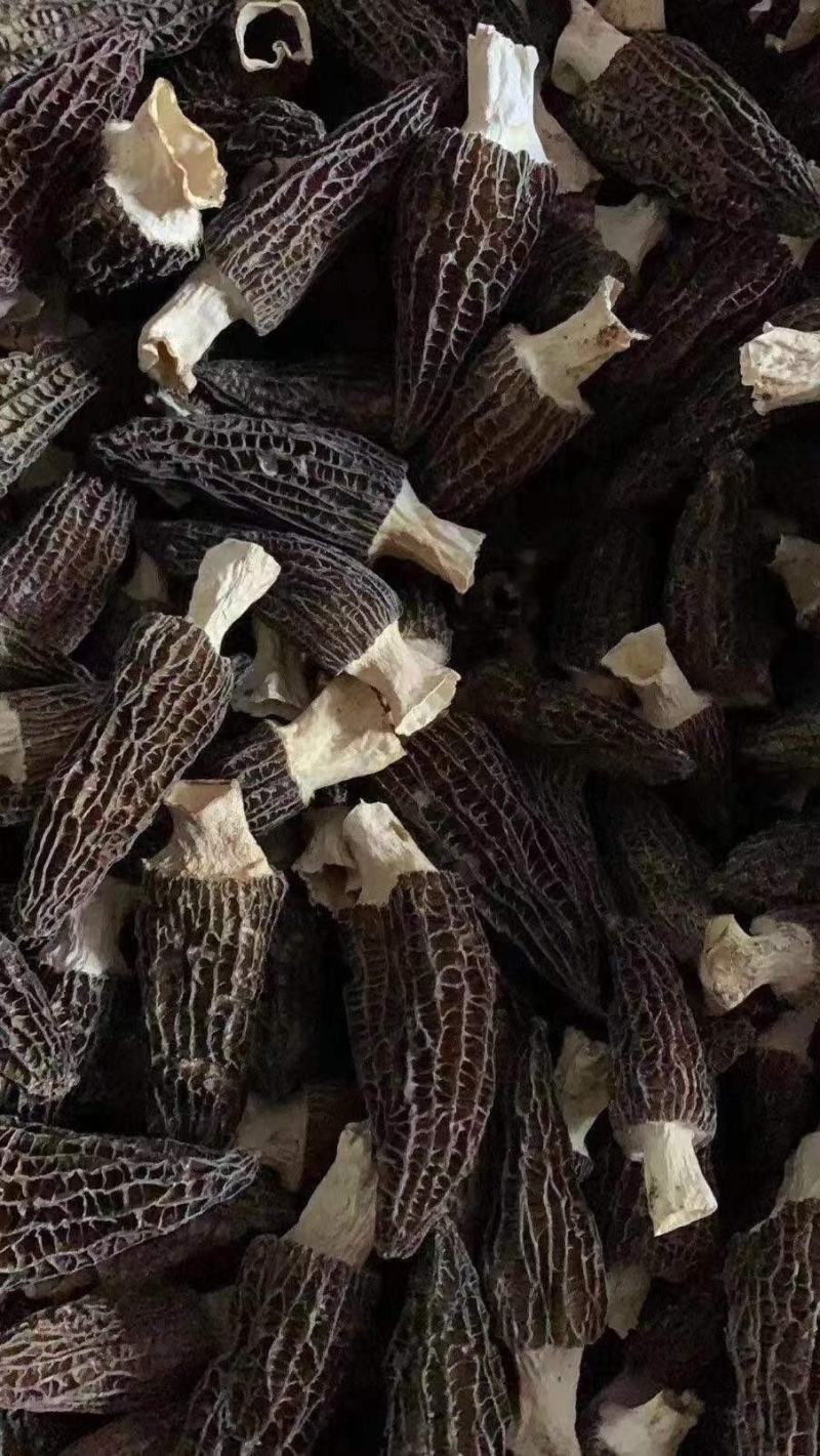 羊肚菌四川产地直发干品包邮发货量大从优