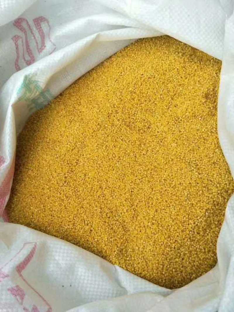 山西特产农家黄小米一件代发独立真空包装
