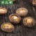 【产地直销、量大从优】剪脚货源充足大量批发,欢迎洽谈合作