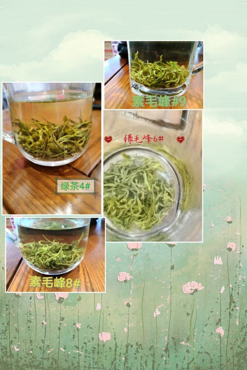 降价了素茶/绿毛峰茶叶浓香型四川蒙顶山茶云雾毛峰
