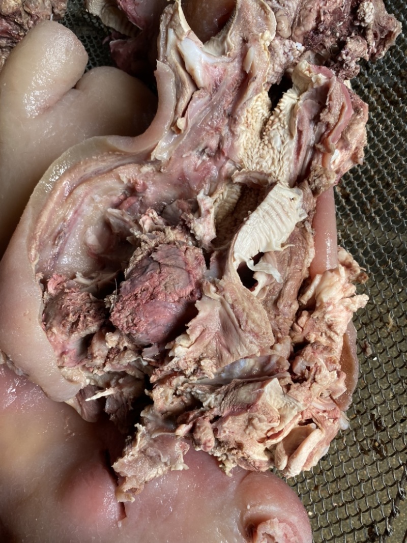 全熟公牛牛头肉！瘦，熟，零添加！清水煮！