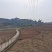 180亩土地出租，转让，合作