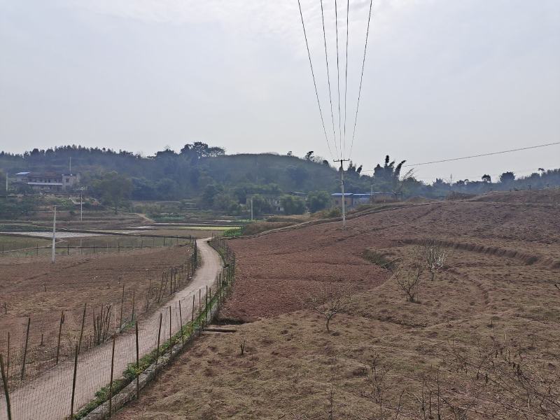 180亩土地出租，转让，合作
