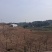 180亩土地出租，转让，合作
