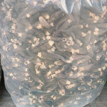 羊肚菌干品2021新品上市