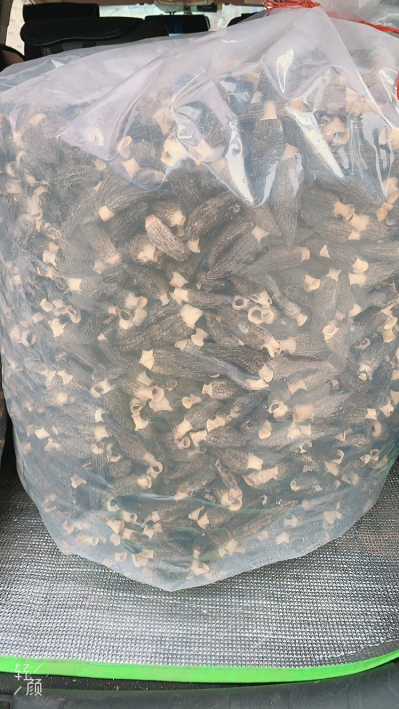 羊肚菌干品2021新品上市