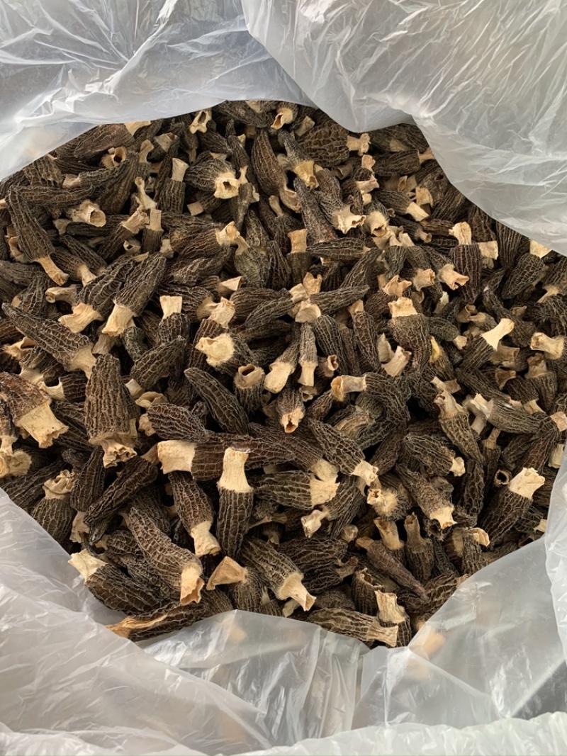 羊肚菌干品2021新品上市