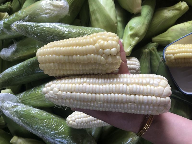 糯玉米售后需知:大自然的产物，不饱满达到一半