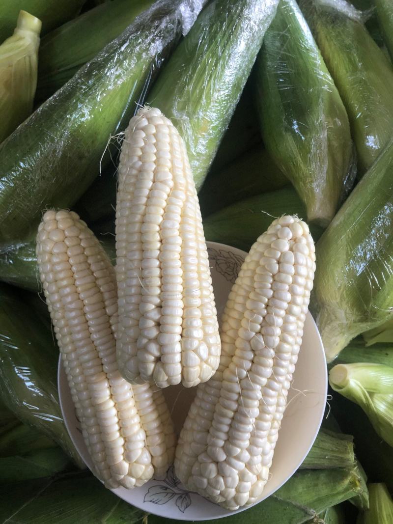 糯玉米售后需知:大自然的产物，不饱满达到一半