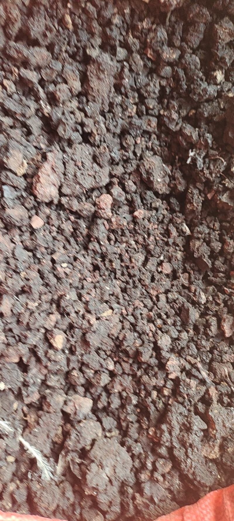 鸭血浆，鲜鸭血，有货