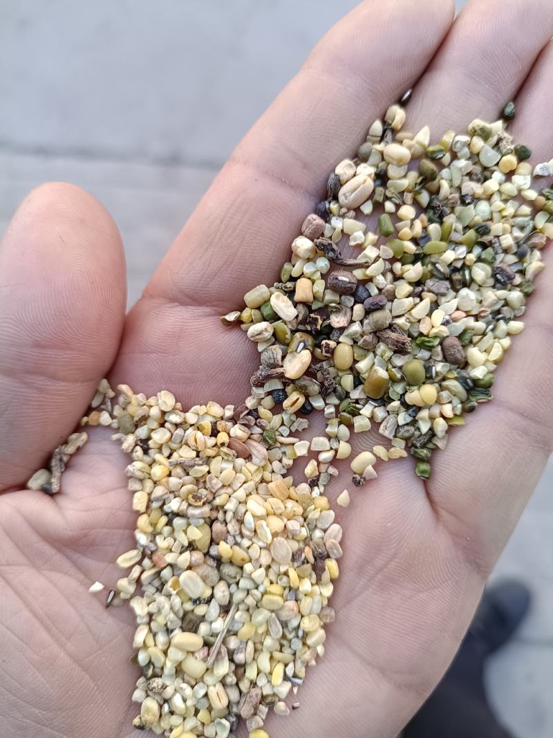 绿豆，磨面绿豆，打粉绿豆！各种档次可供参考
