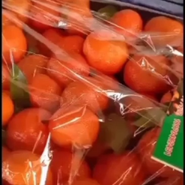 专业代办南丰的砂糖橘