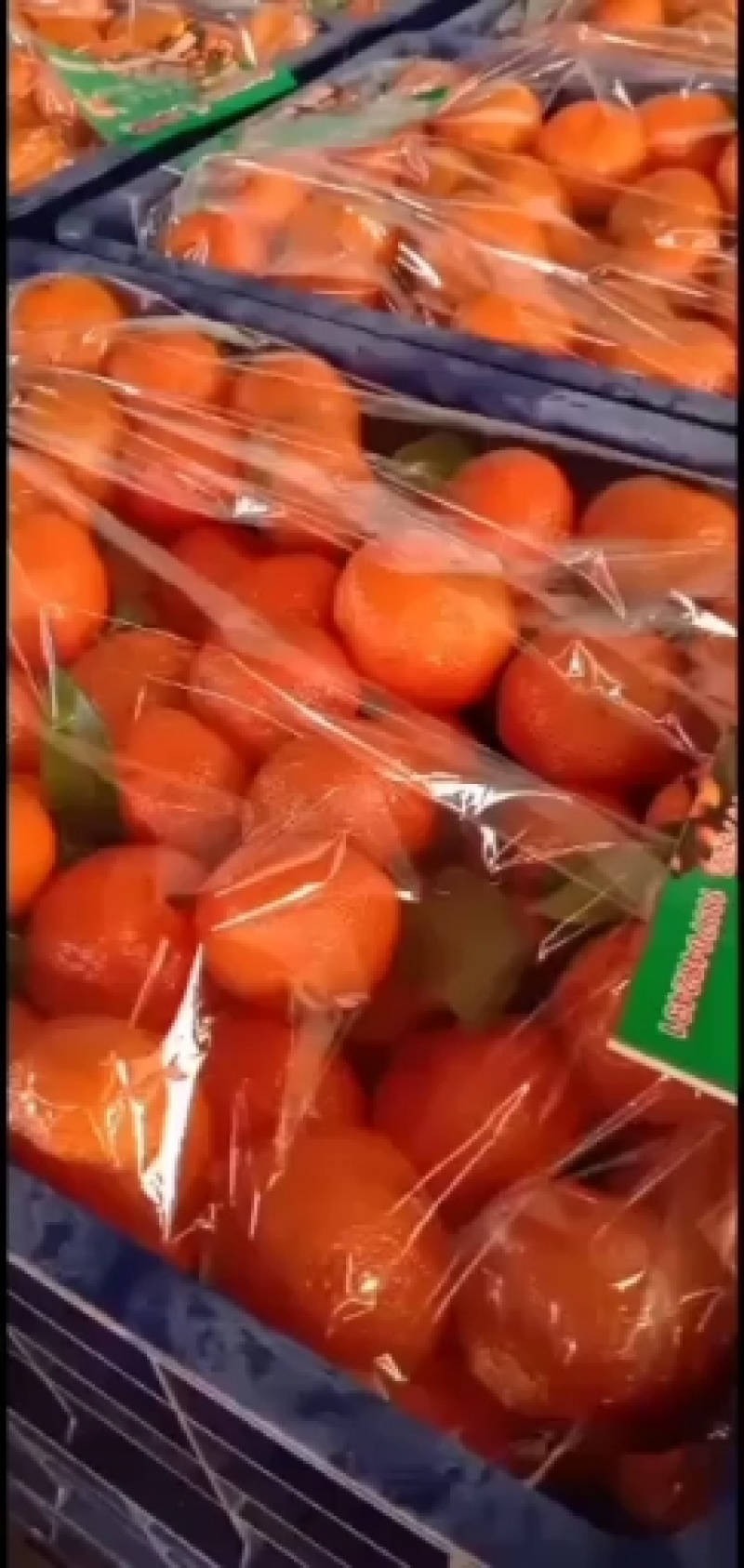 专业代办南丰的砂糖橘