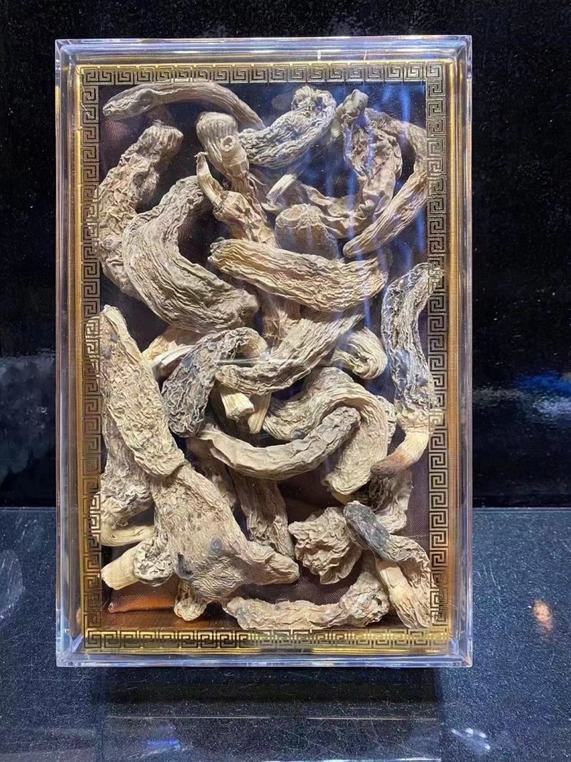 东北一级野生天麻，保质保量，拒绝掺假