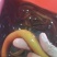 黄鳝鱼。。。。。。！