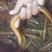 黄鳝鱼。。。。。。！