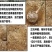 麻竹苗甜竹笋苗地栽大型户外庭院笋苗飞楠竹毛竹青竹