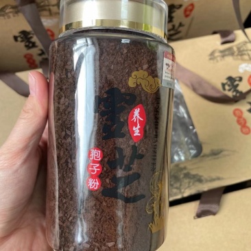 长白山头道灵芝孢子粉，月月磨新粉产地批发