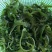 鱼邦海藻沙拉裙带菜400克*20袋/箱，开袋即食
